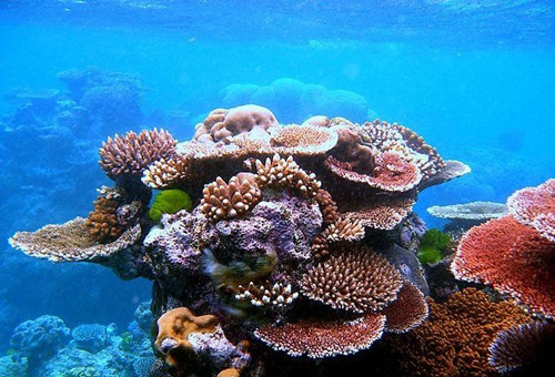 澳大利亚大堡礁旅游攻略_澳大利亚旅游景点推荐_君行