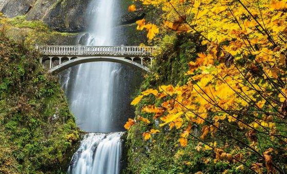 西雅图波特兰浪漫之旅7天游_封面图片_