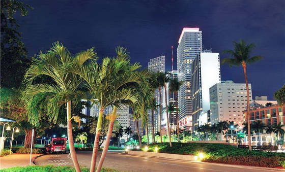 迈阿密欢乐5日游-自由行（一晚海滩酒店）_封面图片_