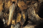 美国 维州溶洞+仙纳度国家公园 1日游