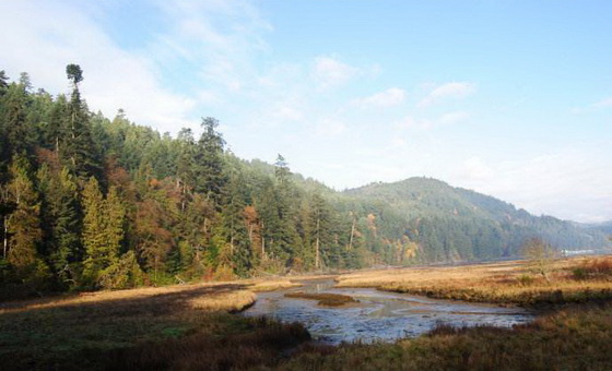 温哥华 - 洛矶山 - 班芙 - 露易丝湖 - 冰原 - 惠斯勒 - 维多利亚 - 墙画镇九日游超值团_封面图片_