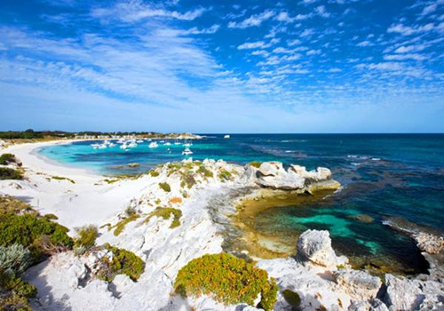 澳大利亚旅游景点推荐--罗特尼斯岛旅游攻略