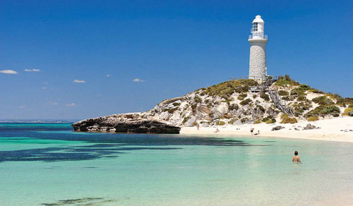 澳大利亚旅游景点推荐--罗特尼斯岛旅游攻略