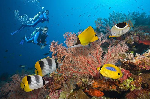 澳大利亚大堡礁旅游攻略_澳大利亚旅游景点推荐