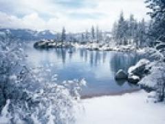 太浩湖、旧金山、优胜美地 + 两大精选项目 七日游 