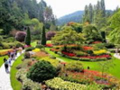 温哥华 - 洛矶山 - 班芙 - 露易丝湖 - 冰原酒店 - 贾斯柏 - 维多利亚八天游豪华团