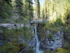 温哥华 - 洛矶山 - 冰原酒店 - VIA火车 巴士深度 8天游经济座特级团