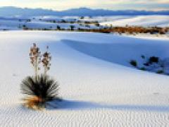 美南阳光巴士四日游